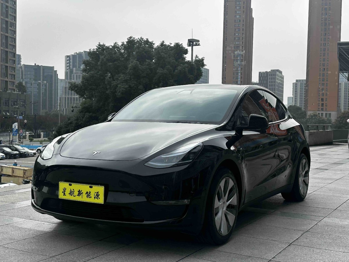 Tesla Model Y 2022 Tesla Model Y 2022 immagine di auto
