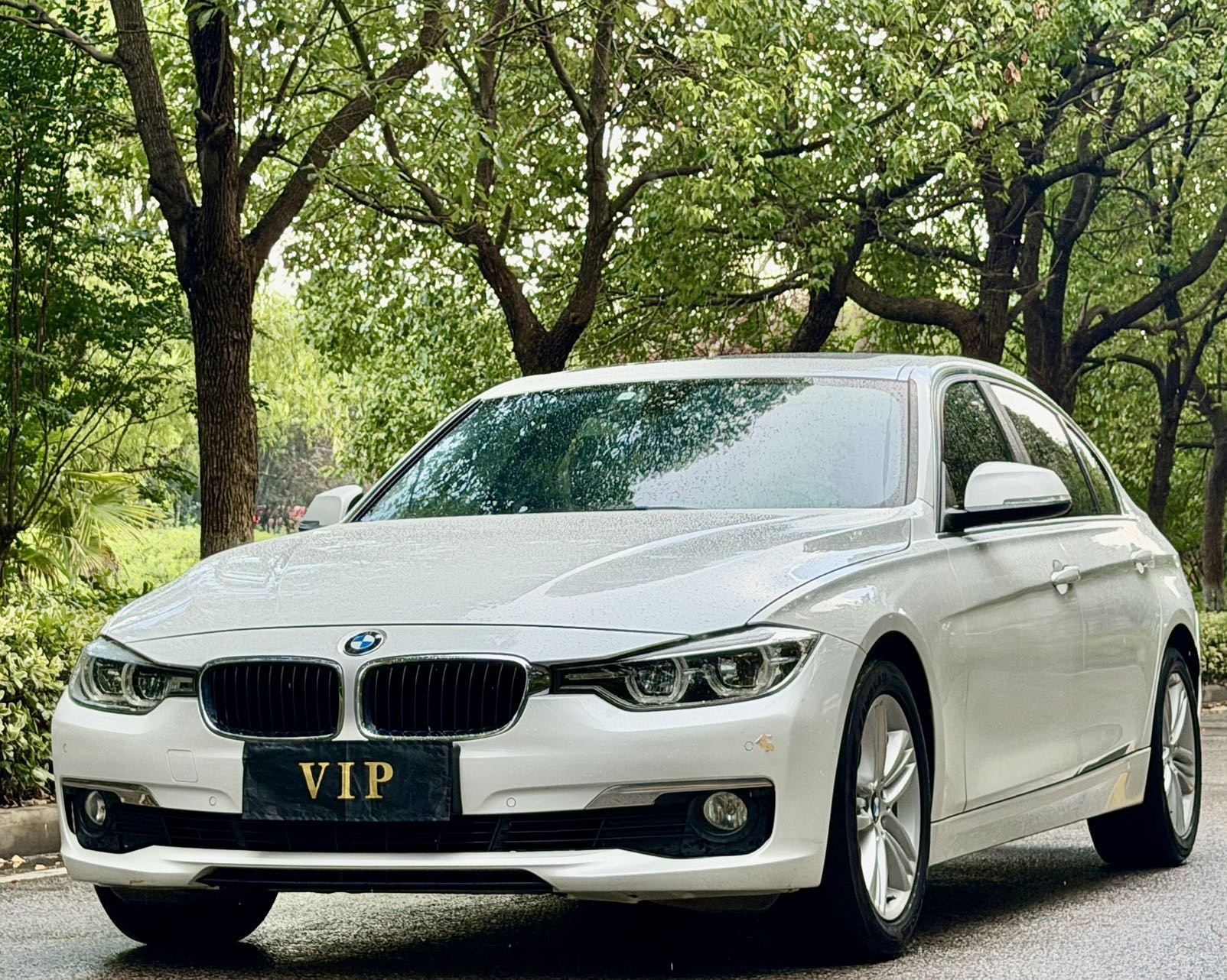 BMW 3 Series 2016 BMW 3 Series 2016 car image