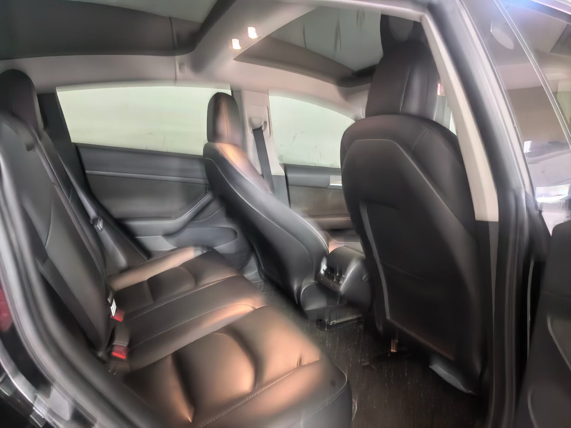 Tesla Model 3 2022 #5 Tesla Model 3 2022 car image #5