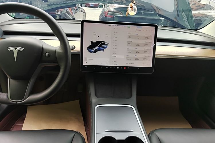 Tesla Model 3 2021 #13 Tesla Model 3 2021 car image #13