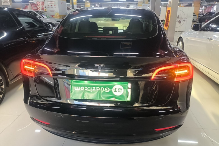 Tesla Model 3 2021 immagine di auto #4