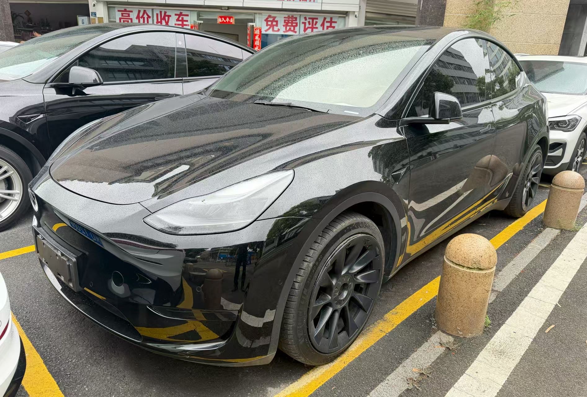 Tesla Model Y 2022 car image 