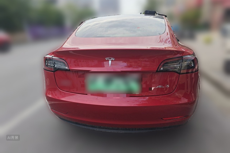 Tesla Model 3 2020 car image #6