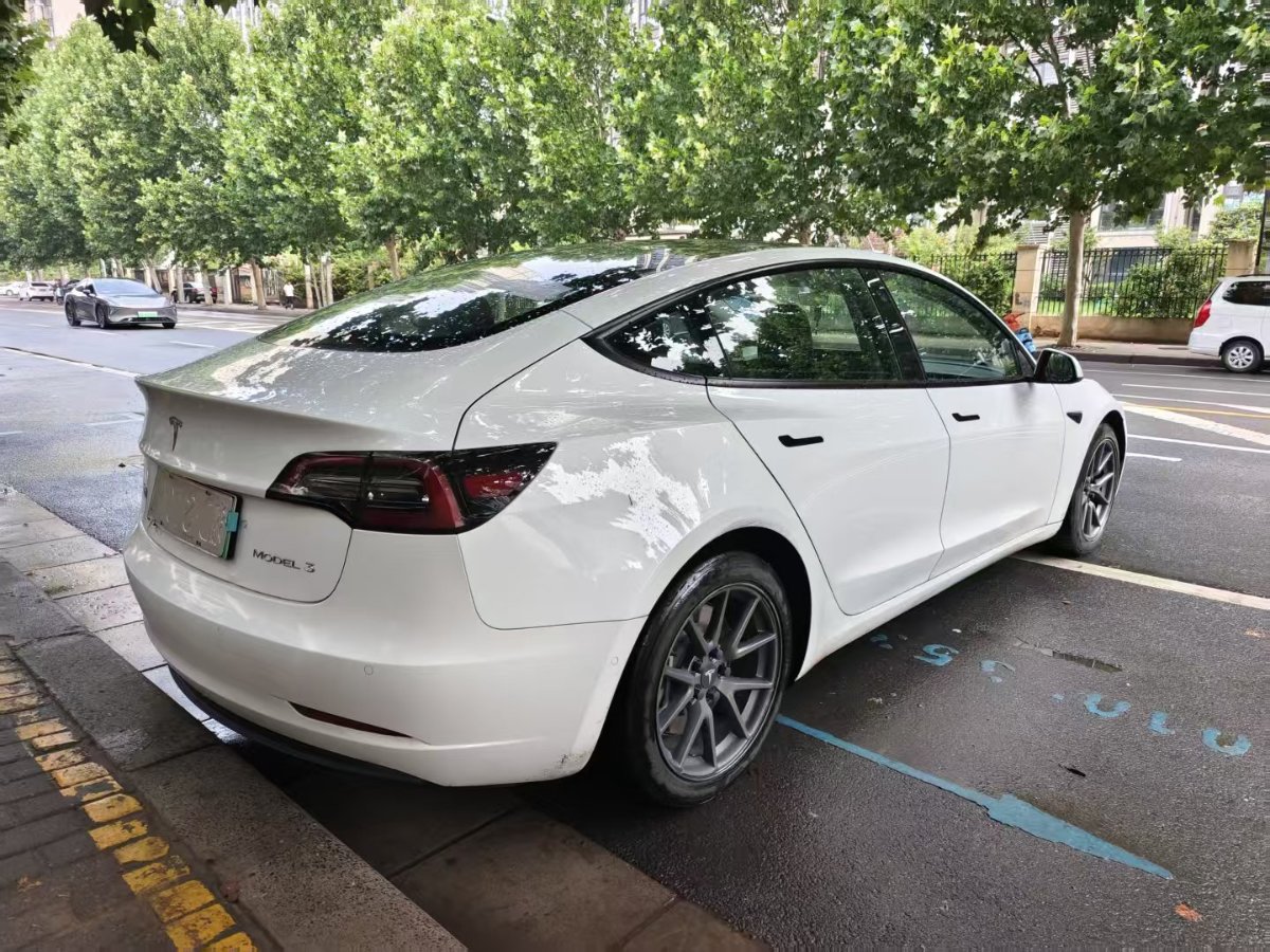 Tesla Model 3 2021 #9 Tesla Model 3 2021 car image #9