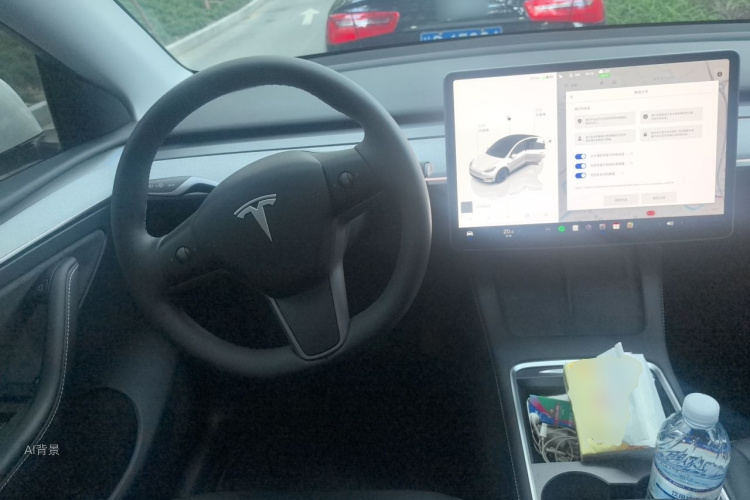 Tesla Model Y 2024 car image #12