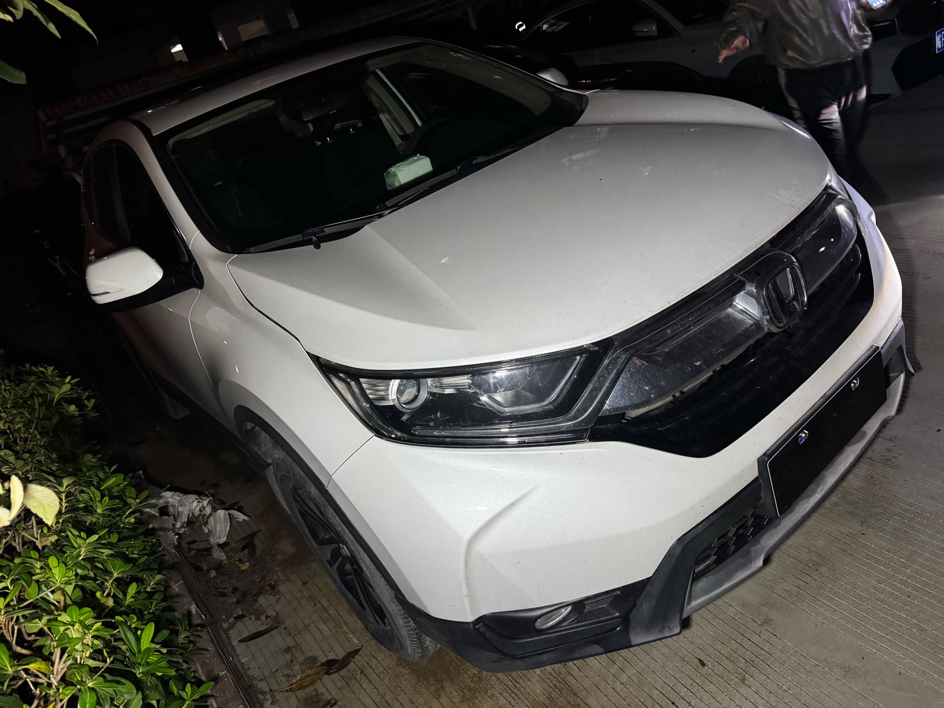 2019 #3 2019 car image #3