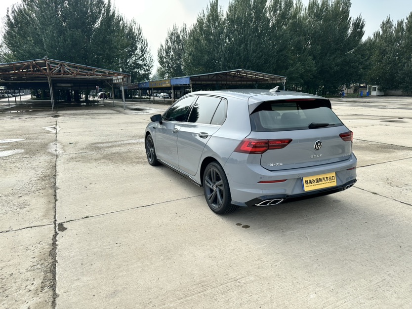 Volkswagen Golf 2022 immagine di auto #7