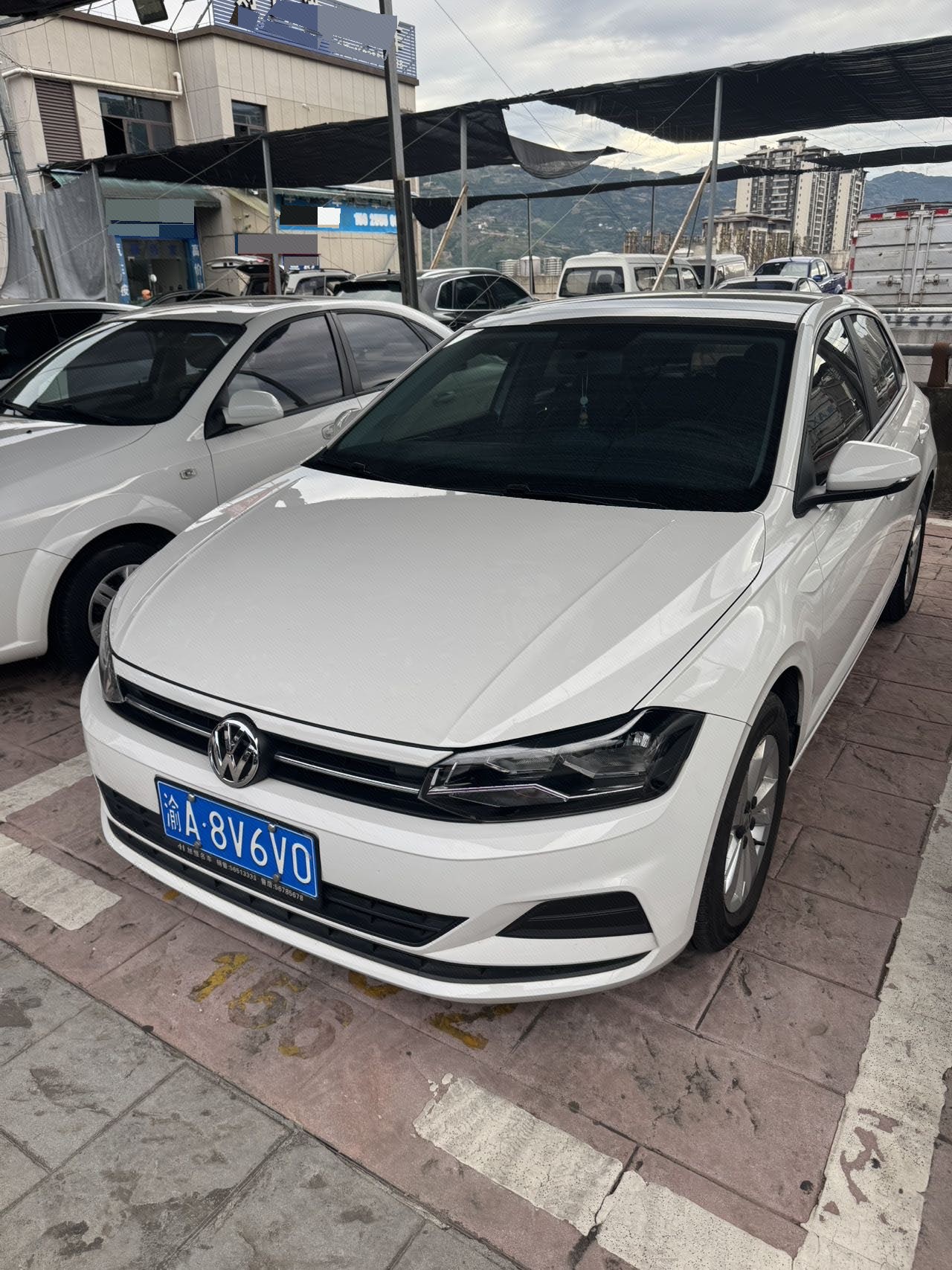 Volkswagen Polo 2020 Volkswagen Polo 2020 immagine di auto