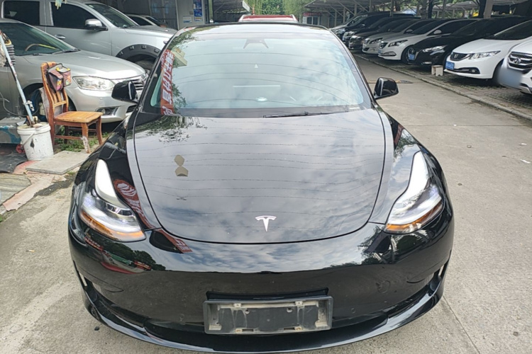 Tesla Model 3 2021 #3 Tesla Model 3 2021 car image #3