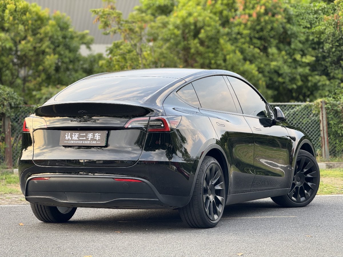 Tesla Model Y 2021 car image #8