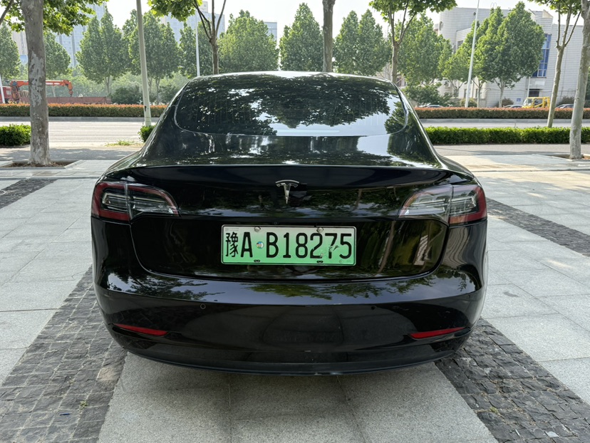 Tesla Model 3 (Imported) 2019 car image #8