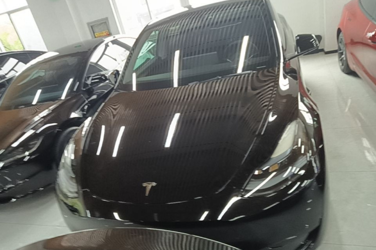 Tesla Model Y 2023 #3 Tesla Model Y 2023 car image #3