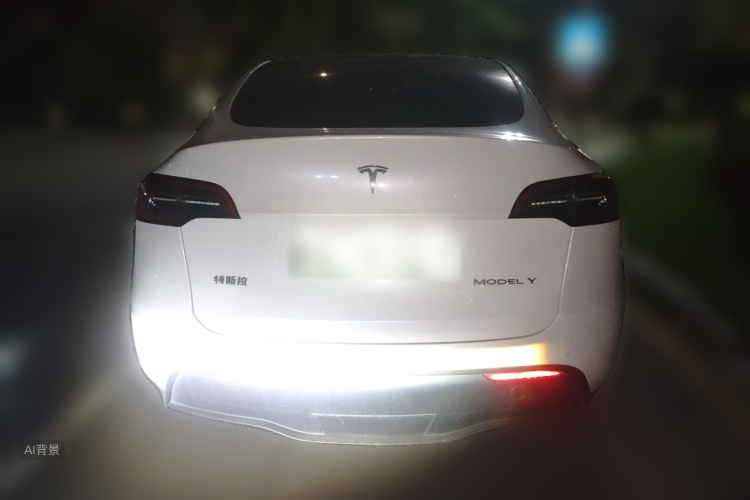 Tesla Model Y 2023 car image #6