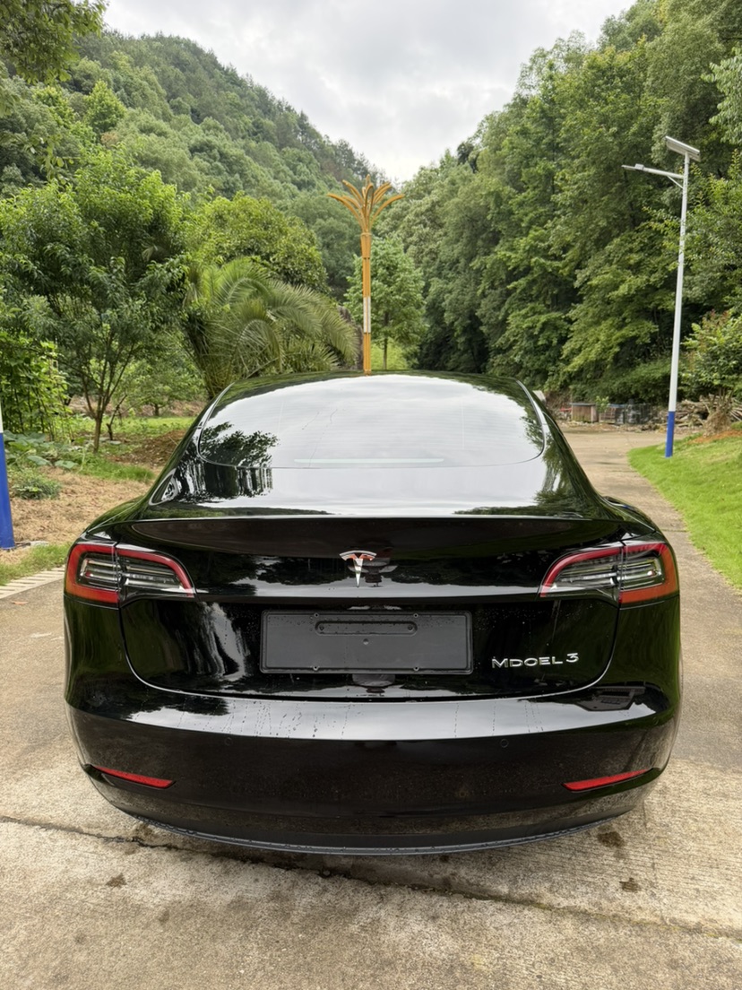 Tesla Model 3 2021 car image #8