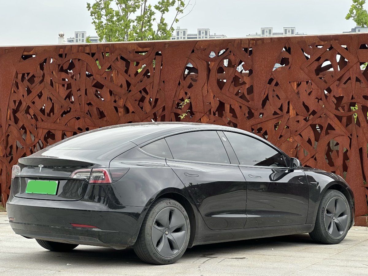 Tesla Model 3 2020 car image #7