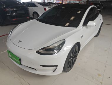 Tesla Model 3 2020 Tesla Model 3 2020 car image