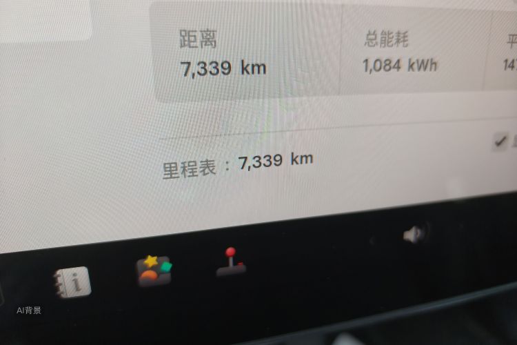 Tesla Model Y 2024 car image #14