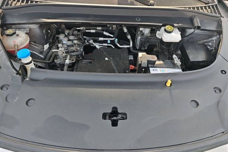 BYD Yuan Plus 2024 car image #20