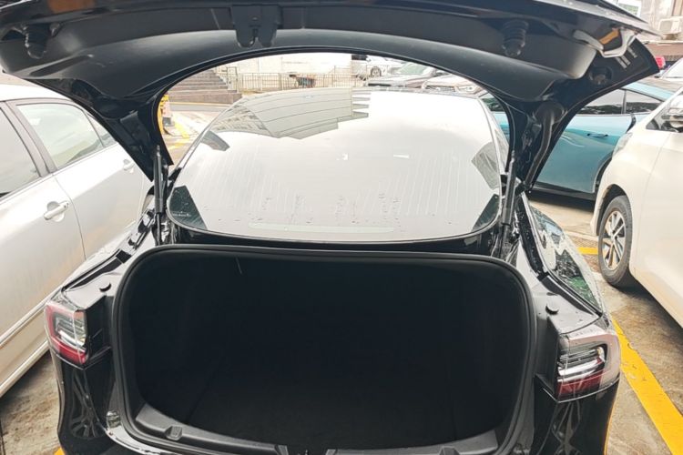 Tesla Model 3 2020 car image #19