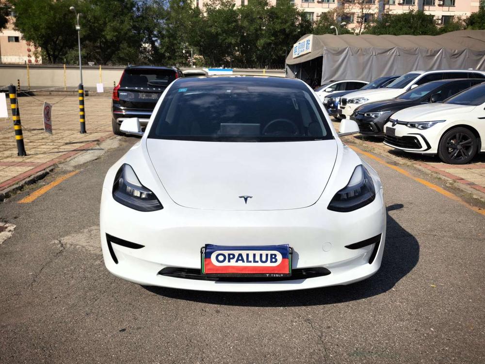 Tesla Model 3 2020 #2 Tesla Model 3 2020 car image #2