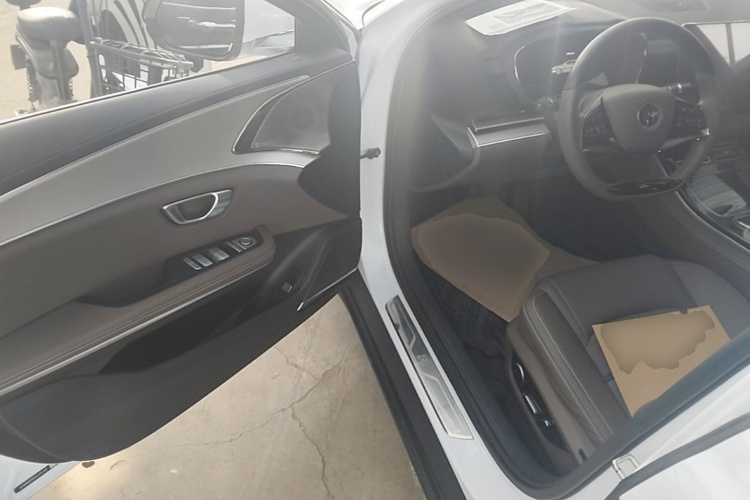 BYD Han 2022 #16 BYD Han 2022 immagine di auto #16