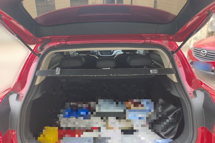 GEELY Emgrand GS 2020 car image #21