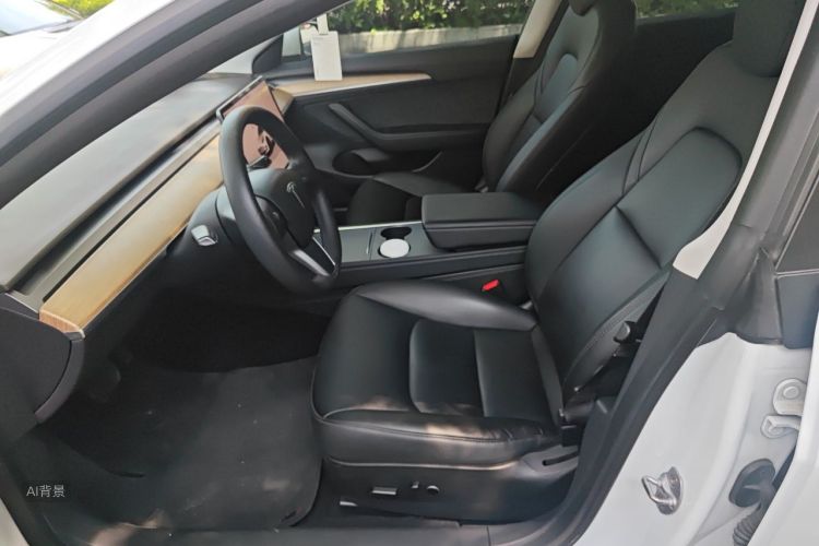 Tesla Model 3 2022 car image #17
