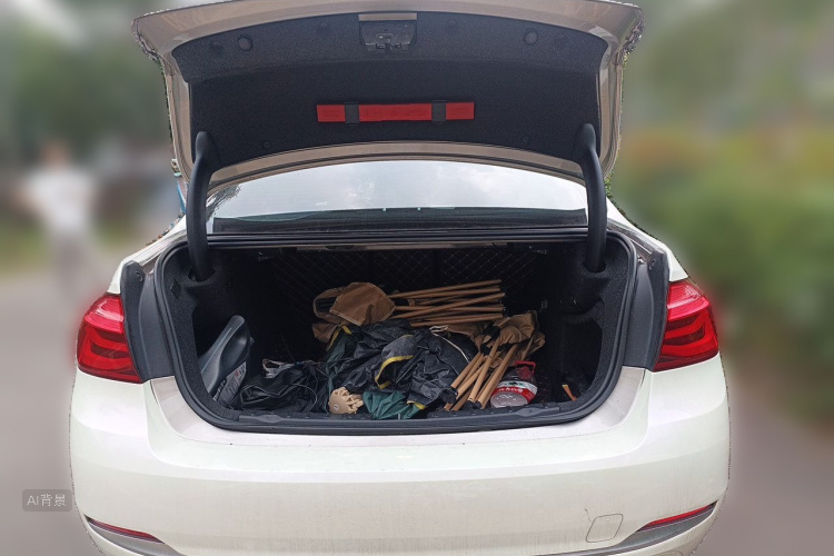BMW 3 Series 2019 car image #21