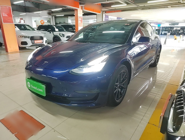 Tesla Model 3 2020 Tesla Model 3 2020 car image