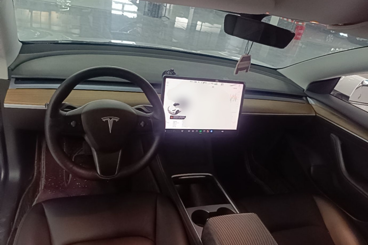 Tesla Model 3 2021 car image #10