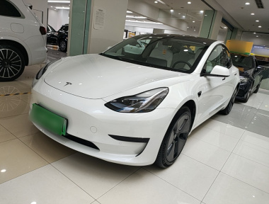 Tesla Model 3 2023 car image 
