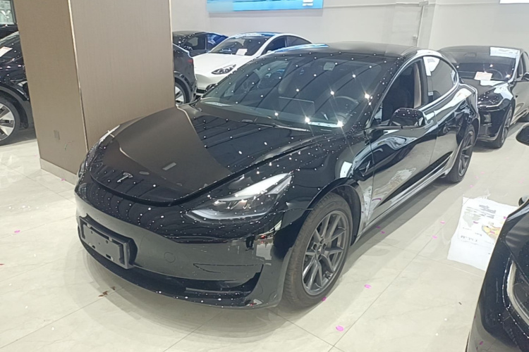 Tesla Model 3 2023 #2 Tesla Model 3 2023 car image #2