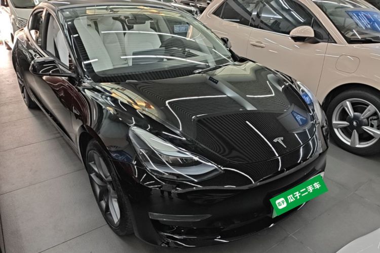 Tesla Model 3 2021 #3 Tesla Model 3 2021 car image #3