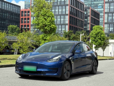 Tesla Model 3 2021 car image 