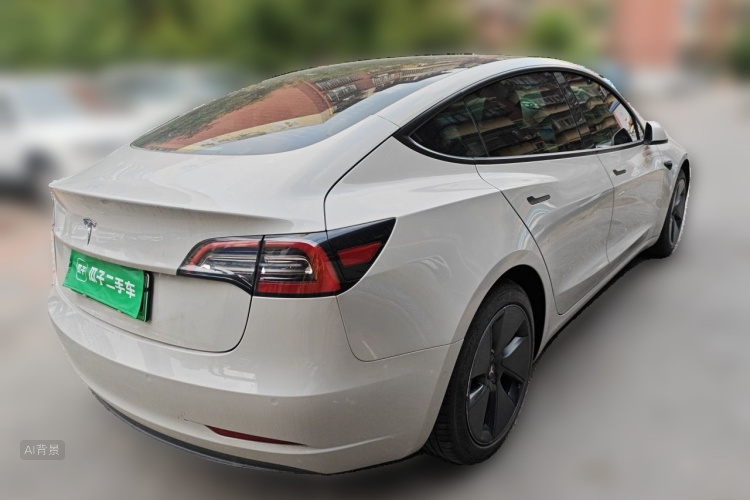 Tesla Model 3 2021 car image #7