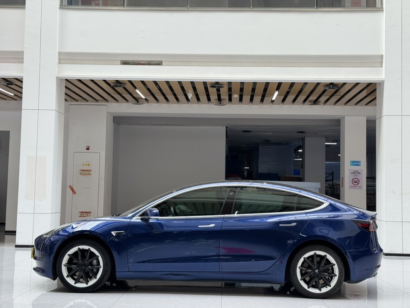 Tesla Model 3 2020 #8 Tesla Model 3 2020 car image #8