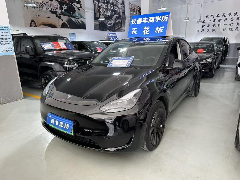 Tesla Model Y 2023 Tesla Model Y 2023 car image