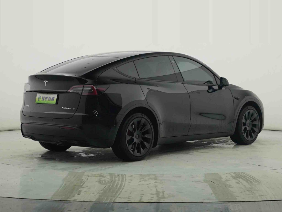 Tesla Model Y 2021 #8 Tesla Model Y 2021 car image #8