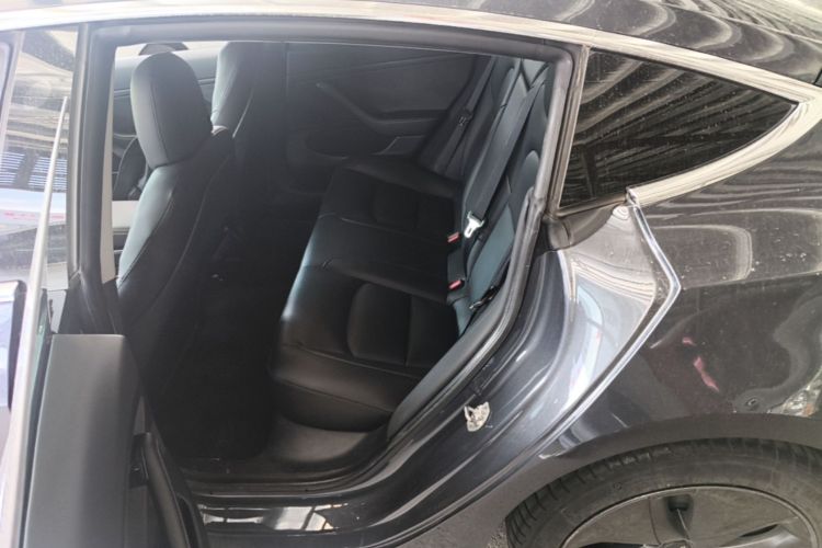 Tesla Model 3 2020 car image #19