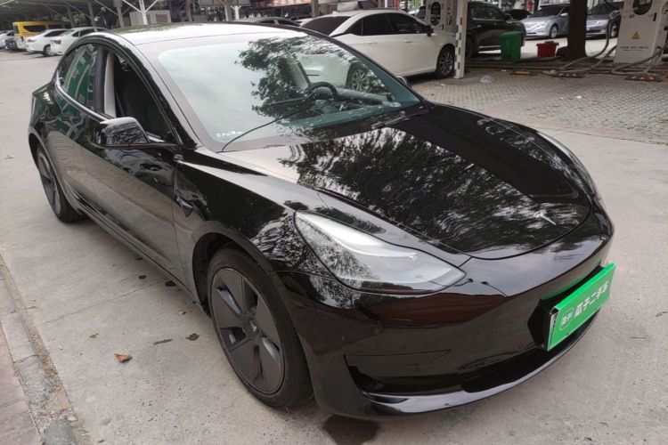 Tesla Model 3 2021 imagem de carro #6