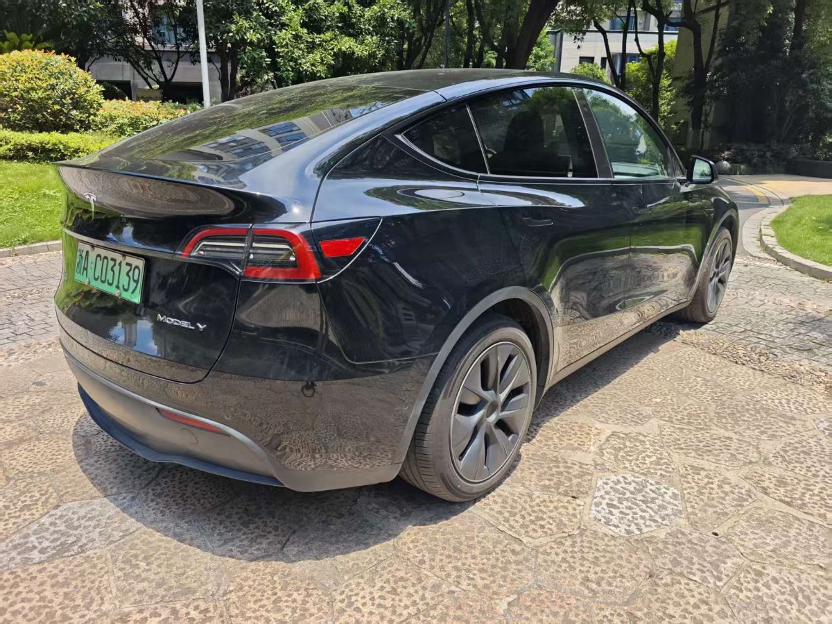 Tesla Model Y 2024 car image #7