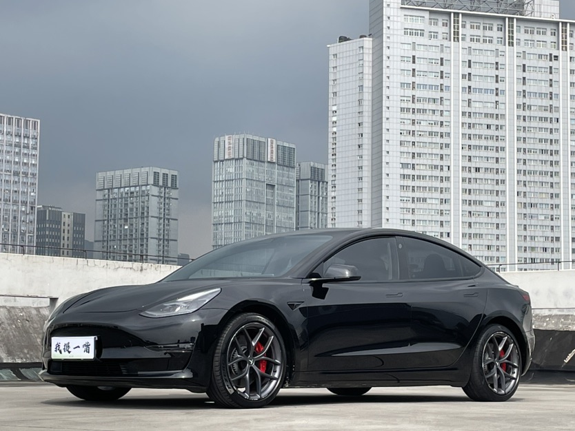 Tesla Model 3 2021 Tesla Model 3 2021 car image