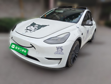 Tesla Model Y 2021 car image 