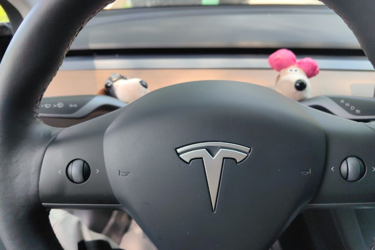 Tesla Model 3 2022 #13 Tesla Model 3 2022 car image #13
