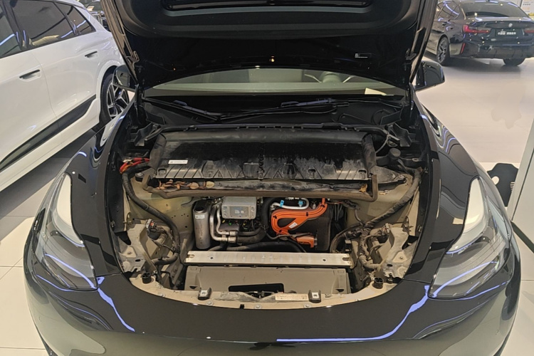 Tesla Model Y 2023 #20 Tesla Model Y 2023 car image #20