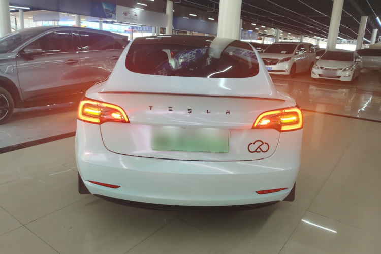 Tesla Model 3 2023 car image #6