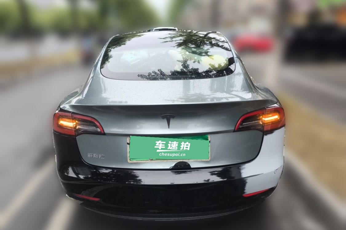 Tesla Model 3 2021 #6 Tesla Model 3 2021 car image #6