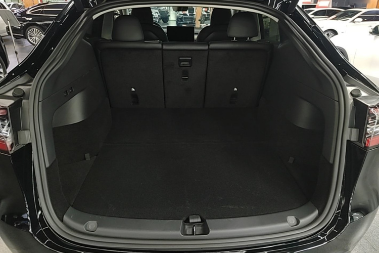 Tesla Model Y 2023 car image #19