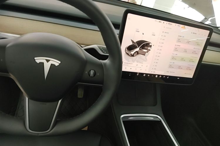 Tesla Model Y 2023 car image #14