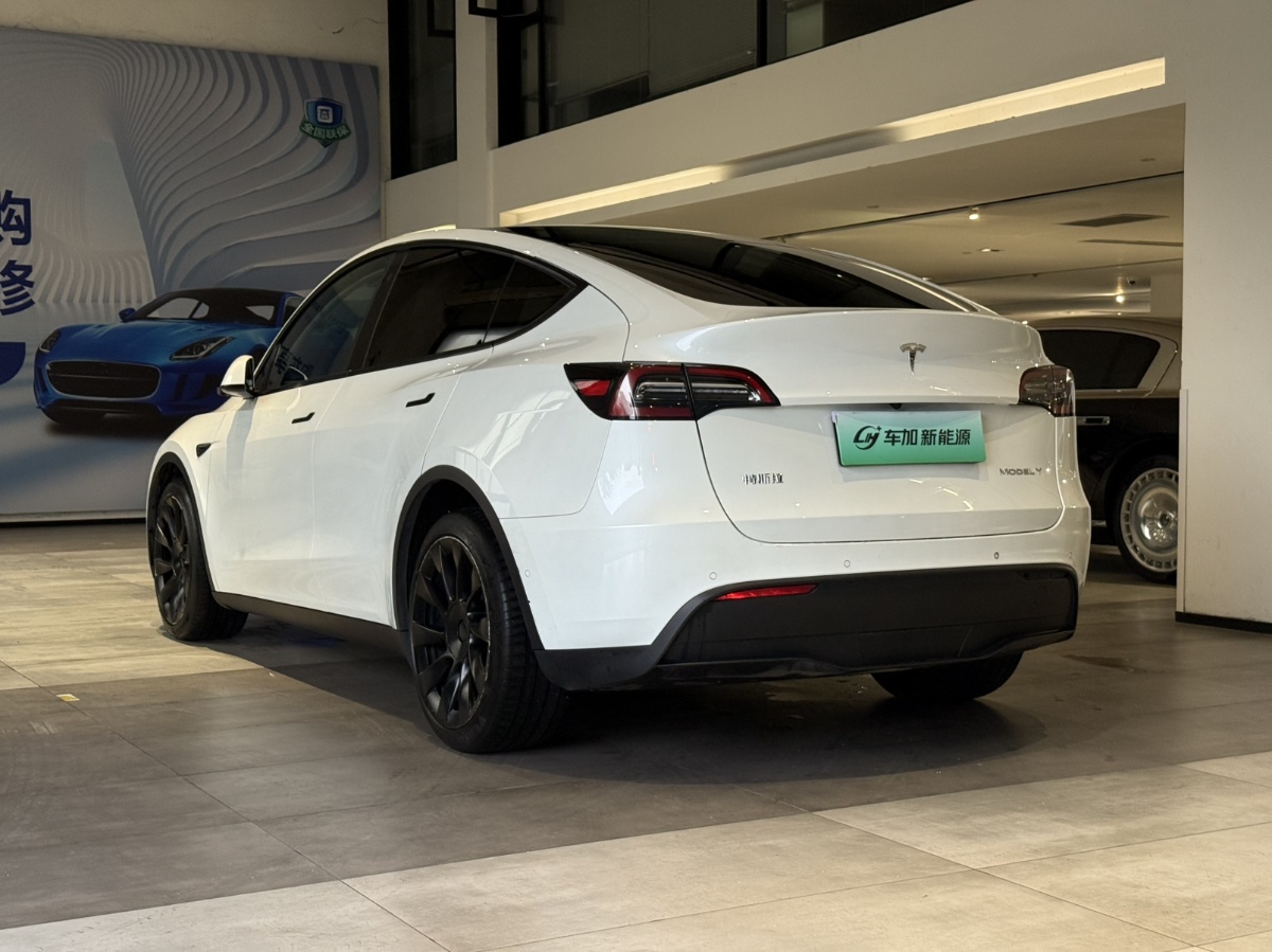 Tesla Model Y 2021 car image #5
